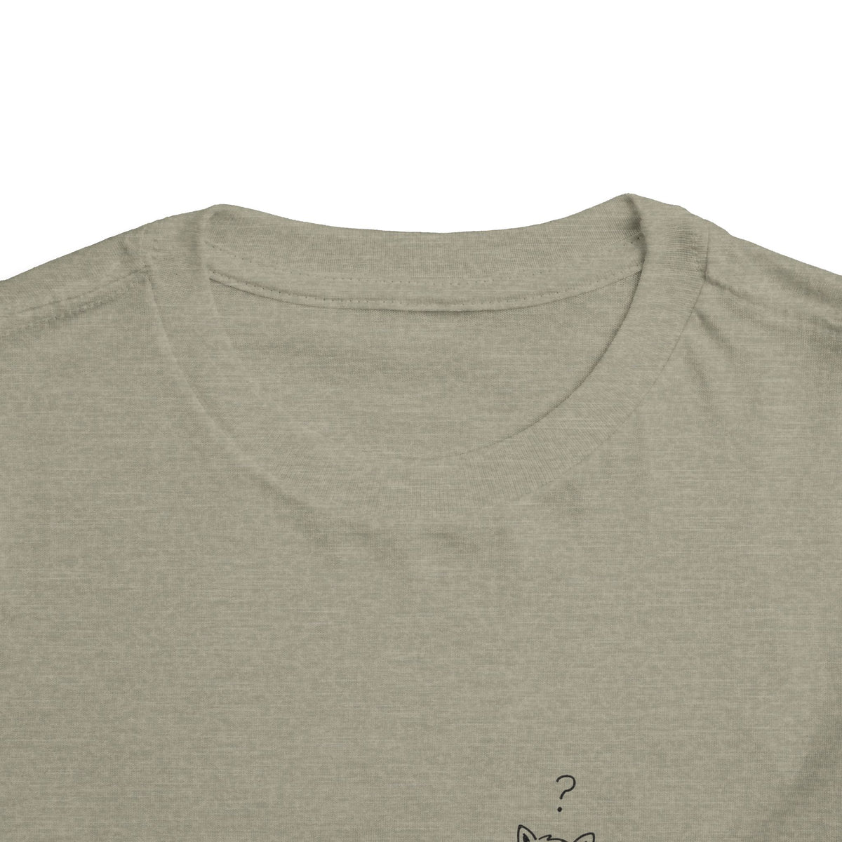 Toddler Tee — "Not Today, Social Interaction" Raccoon Graphic